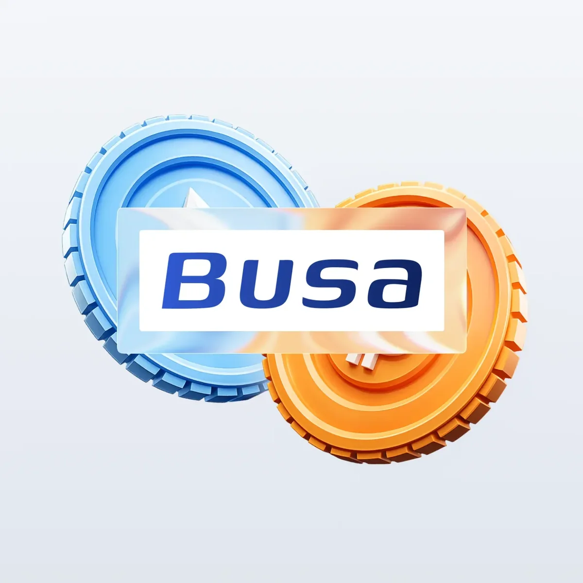 Проект BUSA